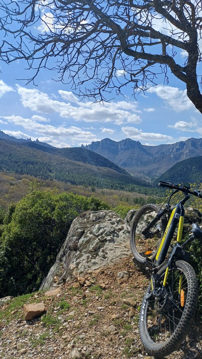 Una bici su un sentiero del parco